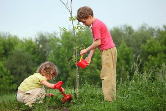 Cada niño está obligado a mantener una actitud constructiva y responsable dentro de la sociedad y con el medio ambiente.